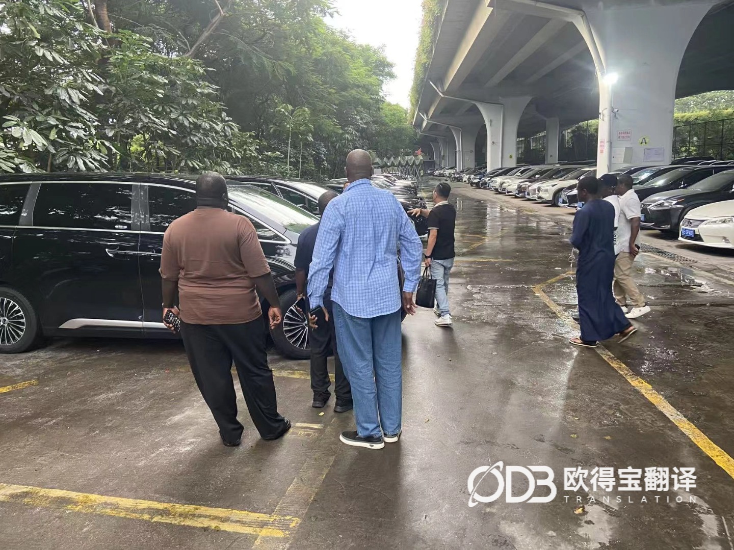 8月26日 广州二手车行业英语口译