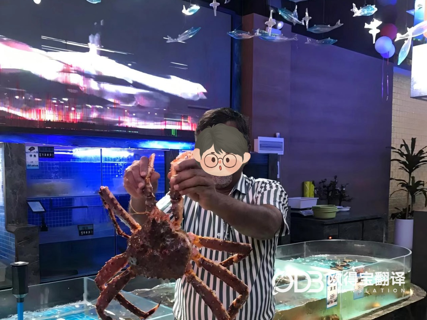 8月28日 宝鸡金属钛行业英语口译